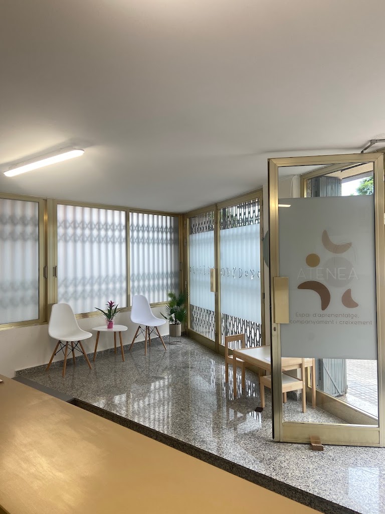 Atenea Language School — Del propietario