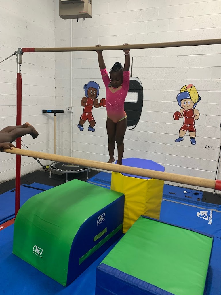  Shan's Jumping Gymnasium