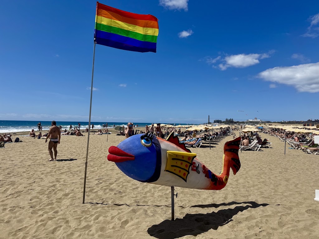 Kiosco Beach Ndeg5 — Mas recientes