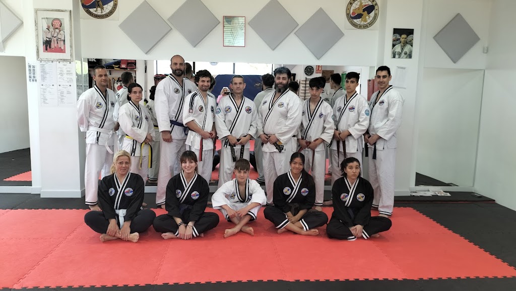 Jin Jung Kwan Hapkido - Dokssuri Dojang Arroyomolinos — Comunidad