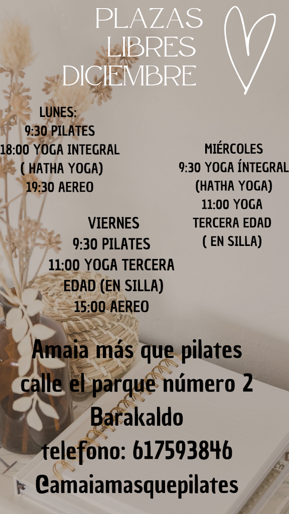 Amaia mas que Pilates — Del propietario