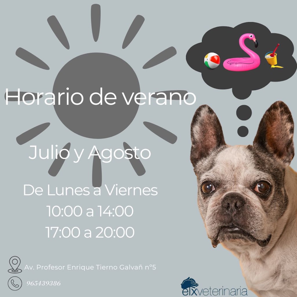 Clinica veterinaria Elxveterinaria — Del propietario