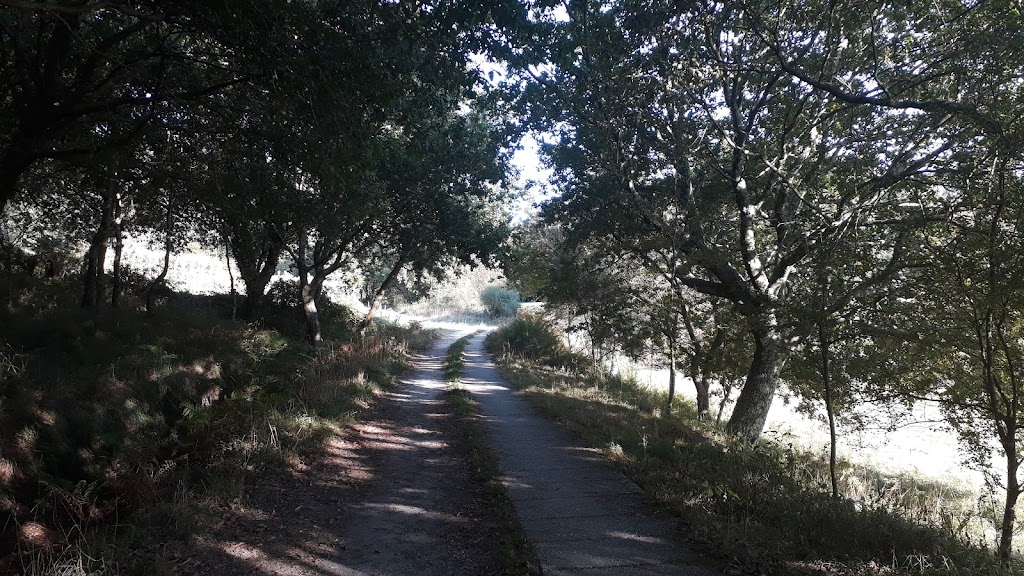 Ruta de senderismo As Pradarias