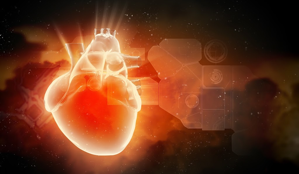 Dr. Dr Sriranga R Md Aiims Dm Cardiology Interventional Cardiologist Jayadeva