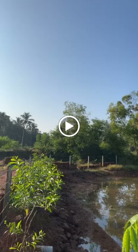 Videos