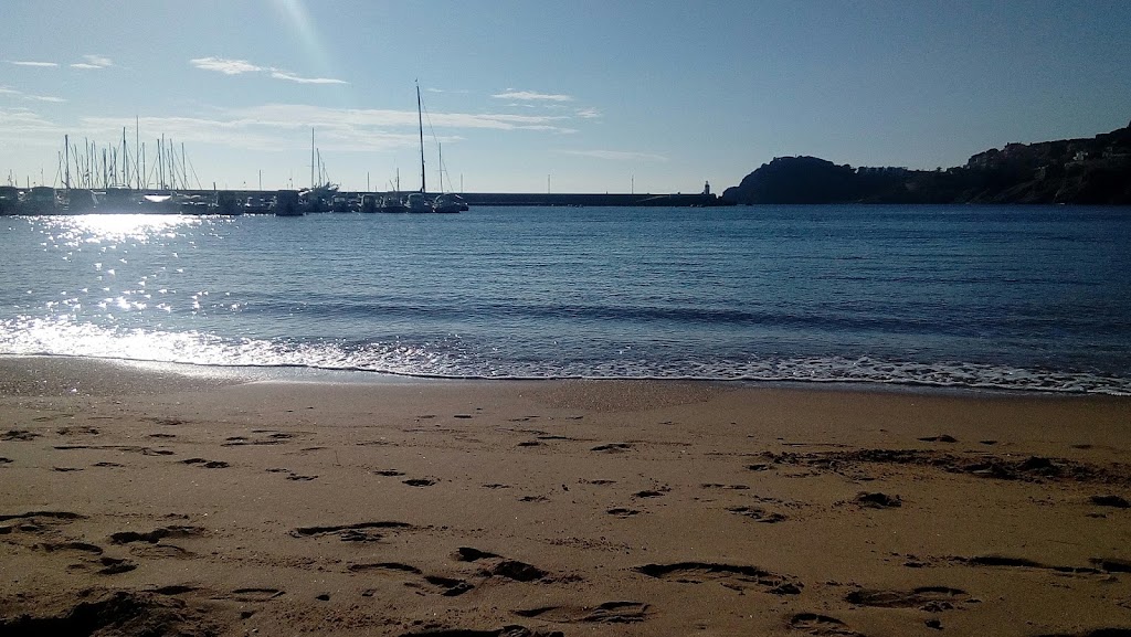 Bar zodiac sant feliu de guixols — Del propietario