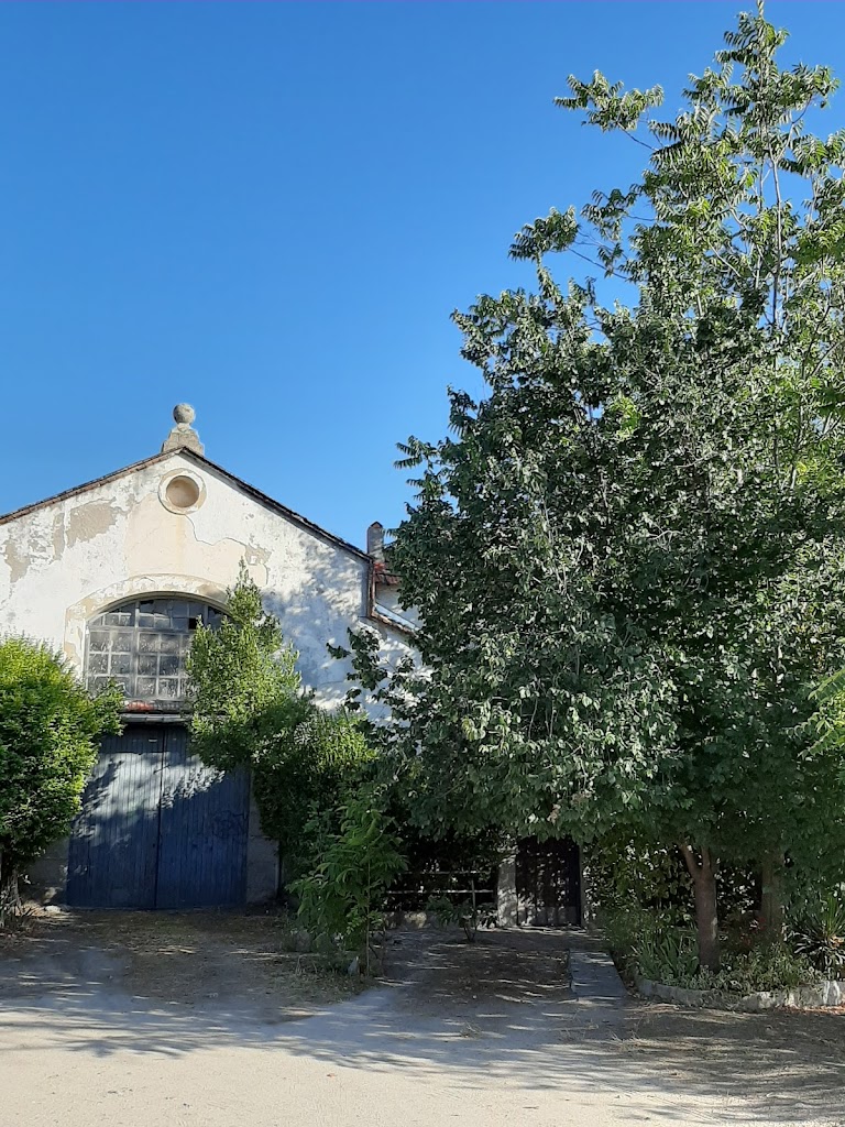 Fonda de la Trinidad