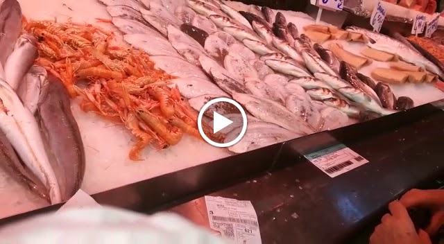 Restaurante Monte Real — Videos