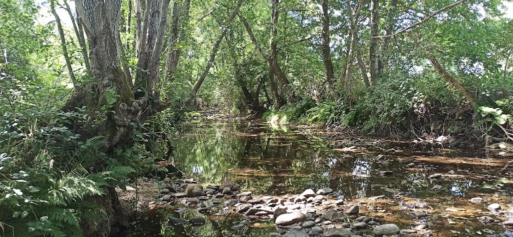 Ruta El Molinillo - Rio Aravalle