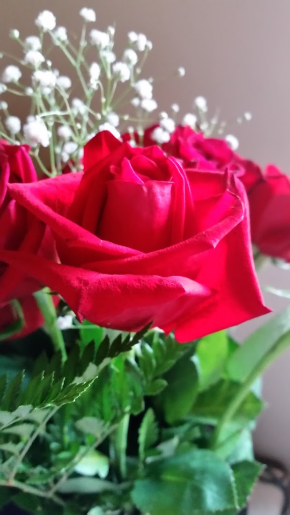 Stop & Shop Florist