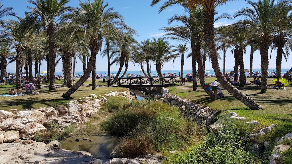 Parking Playa de los alamos