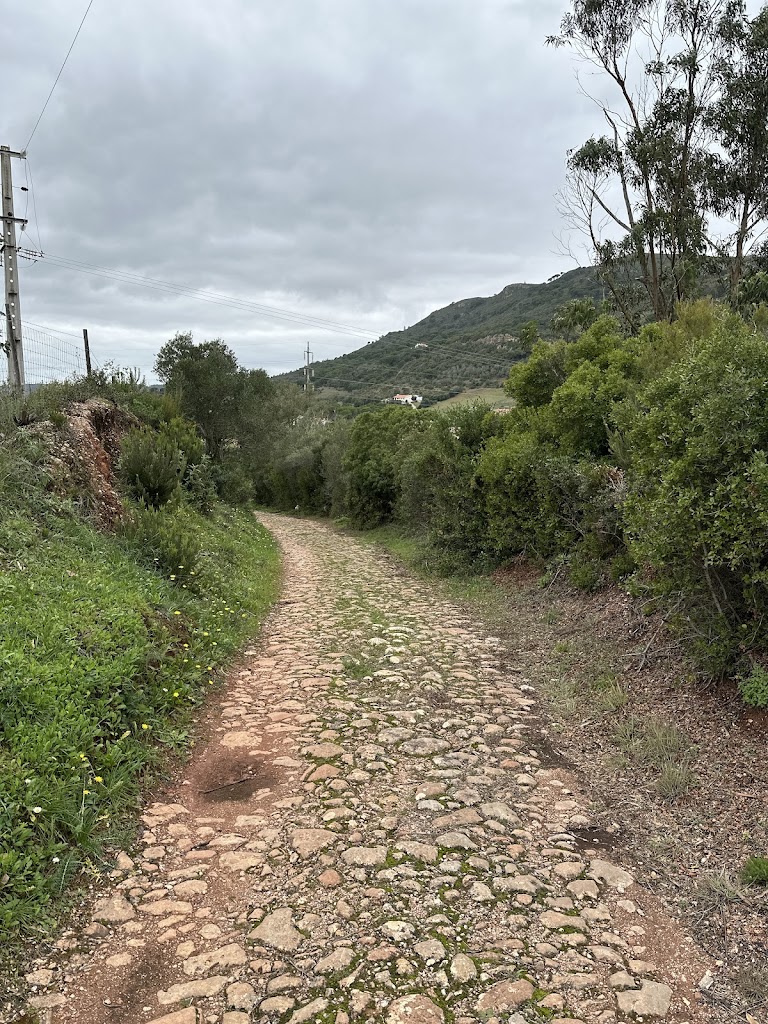 Calcada Romana do Viso