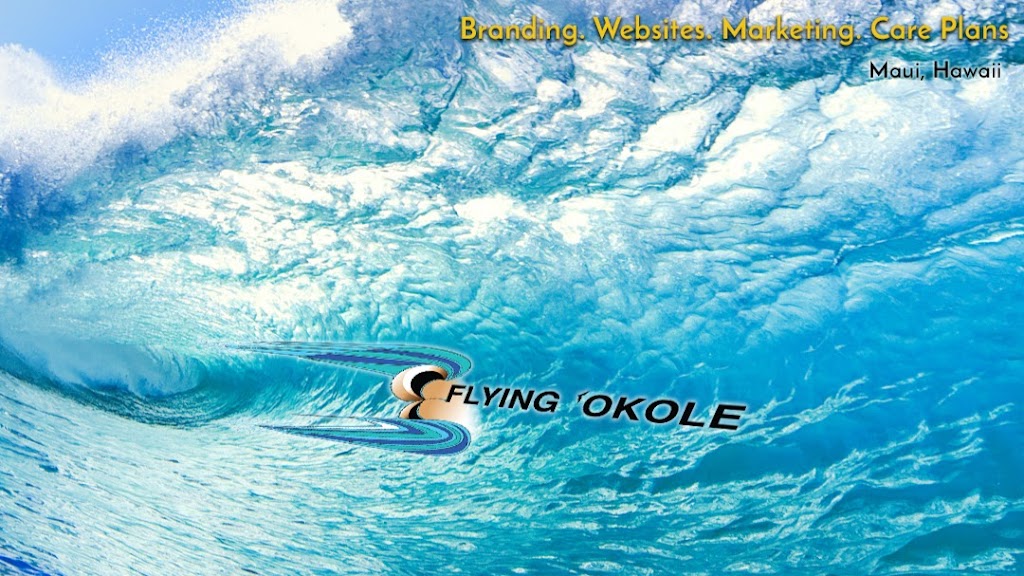 Flying Okole Web Design Branding Marketing Digital Business Strategy