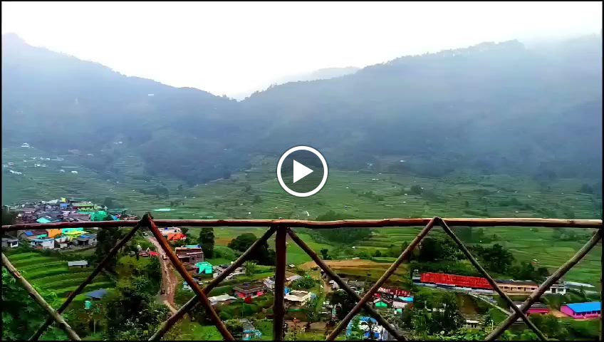 Videos