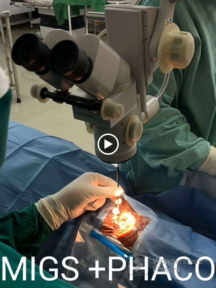 Videos