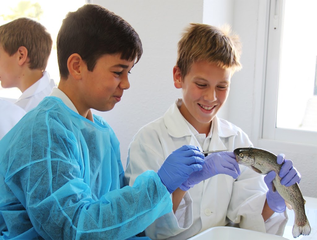 Casvi International American School - Colegio americano en Madrid — Estudiante