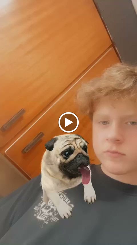 Videos