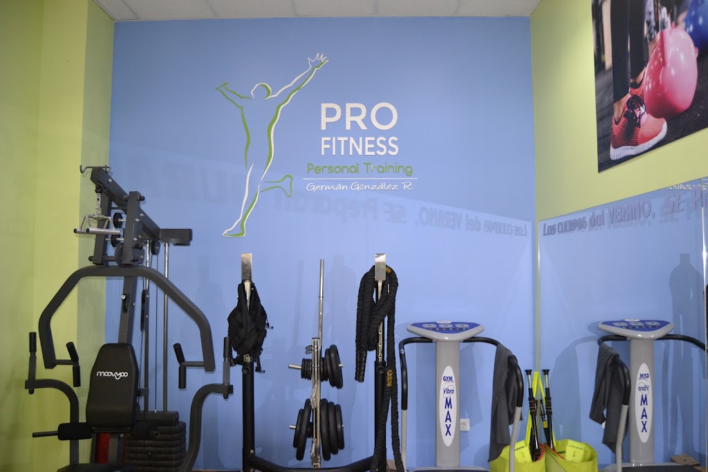 PRO Fitness German Gonzalez R. Personal Training