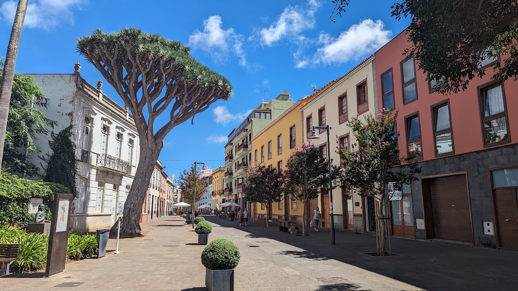 Plaza de la Junta Suprema de Canarias