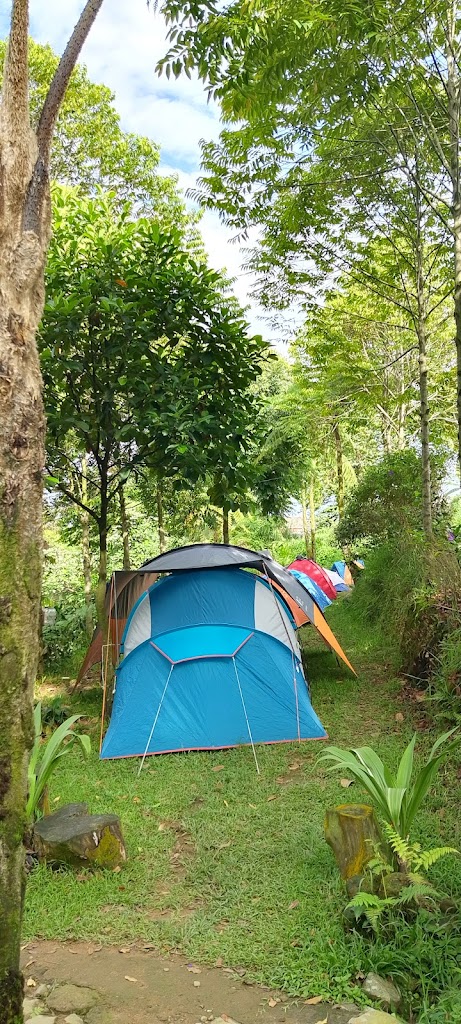 Camping ground curug goa lumut