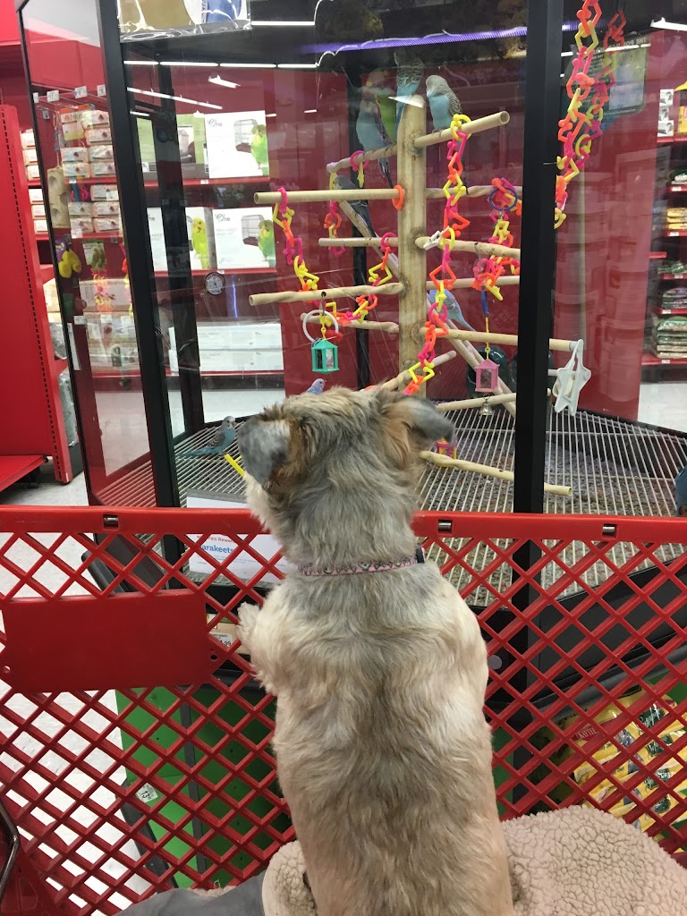 Pet Supply