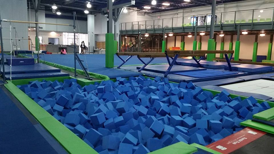 Ziggy’s Gymnastics Academy