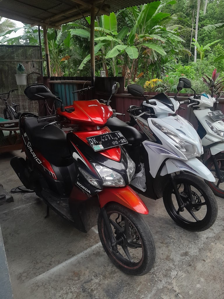 Spesialis cat motor edy ganonk