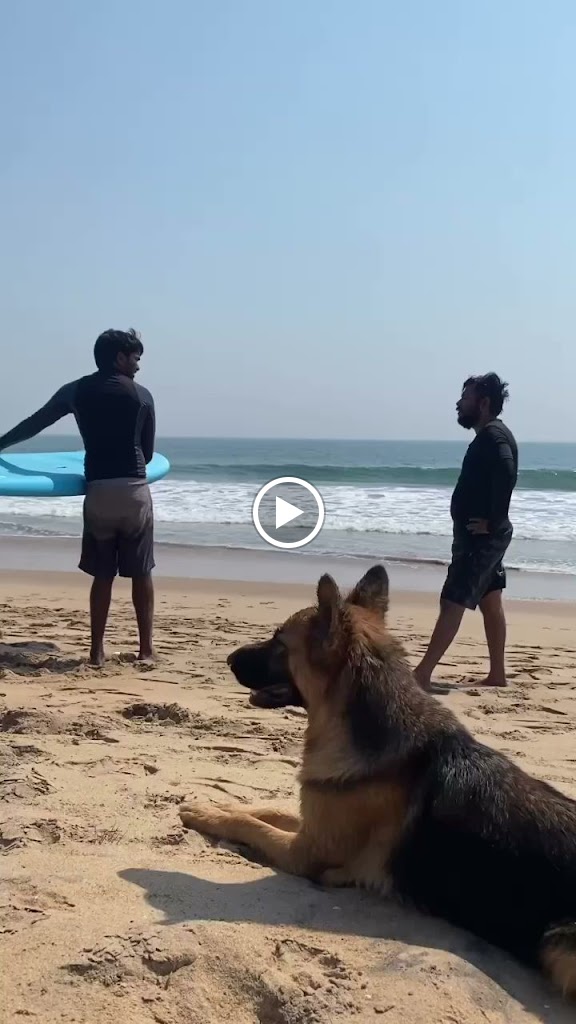 Videos