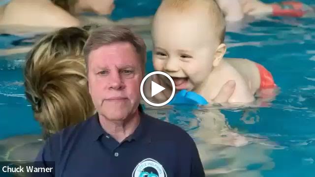  The Little Dolphin Swim Academy