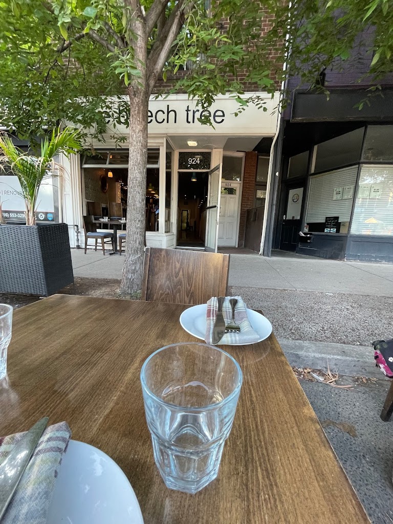 The Beech Tree in Toronto