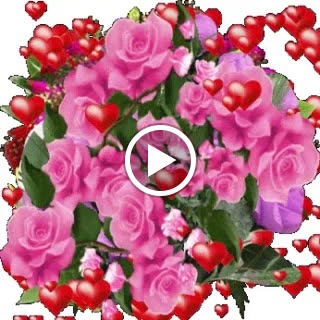 Restaurante Exquisit — Videos