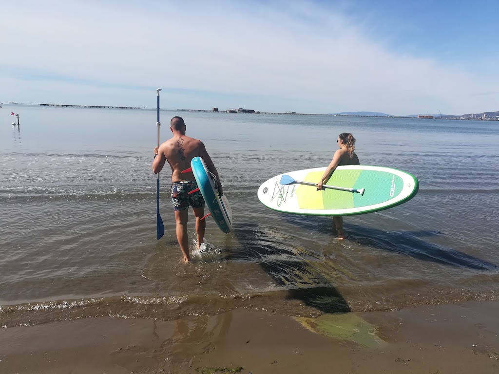 DeltaPaddleSurf — Surfista