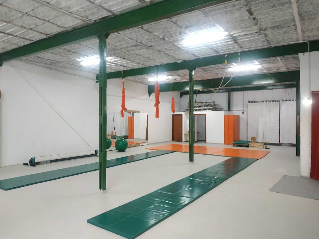 Circo Bajo el Tejado