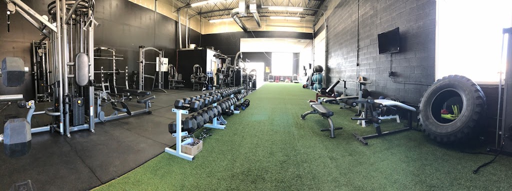  Results Pro Training