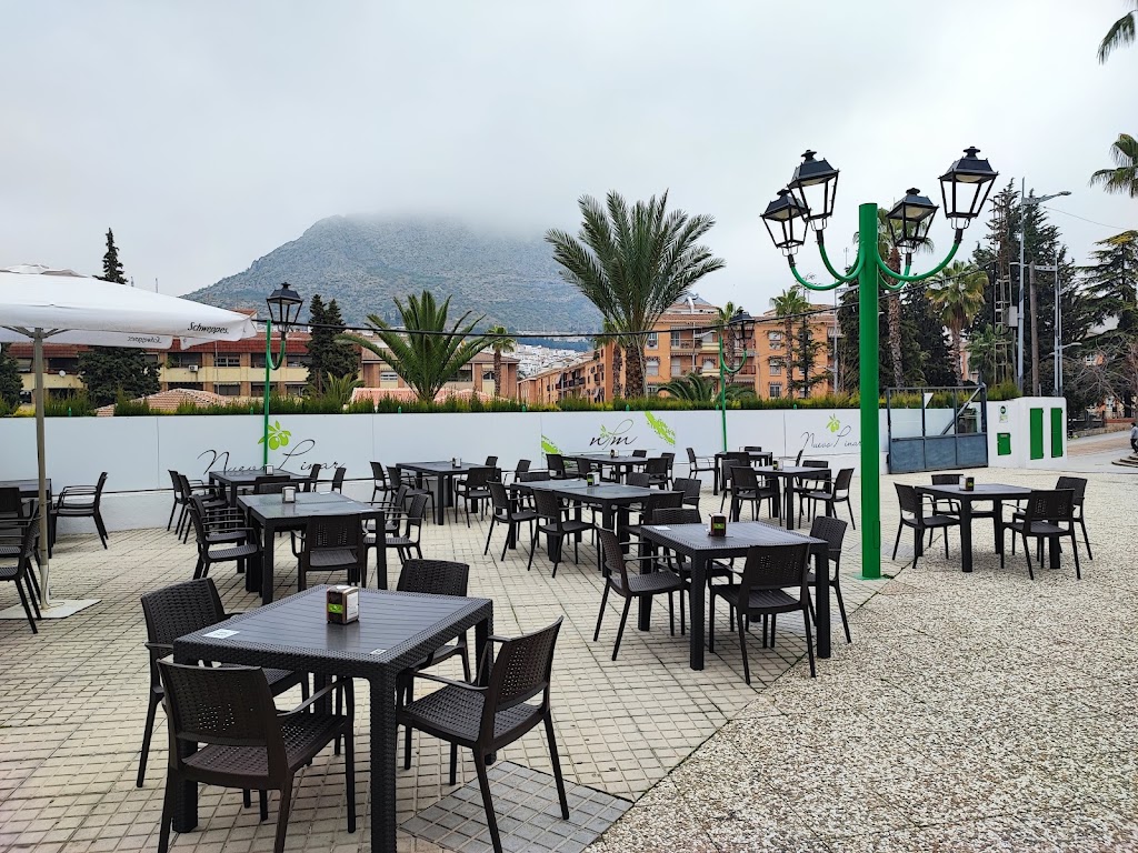 Restaurante Nuevo Pinar — Ambiente