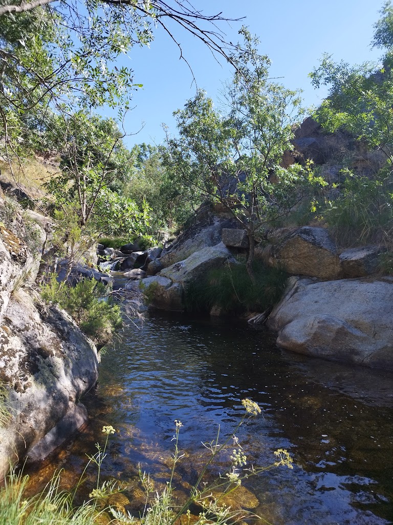 Camino forestal rio cambrones