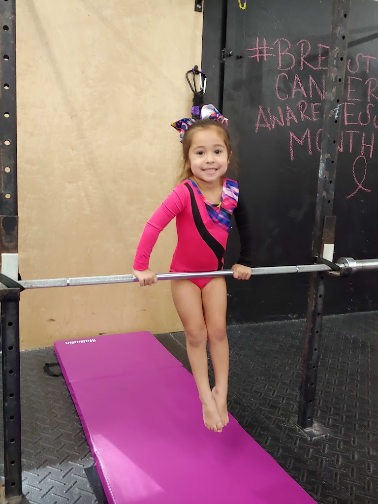  Gymnastics Palace Miami Lakes