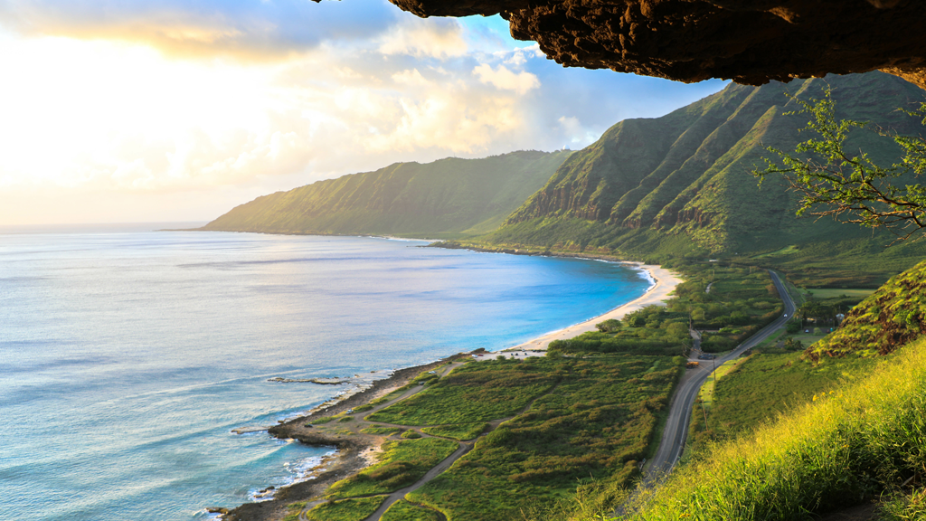 808 Smart Car Rentals