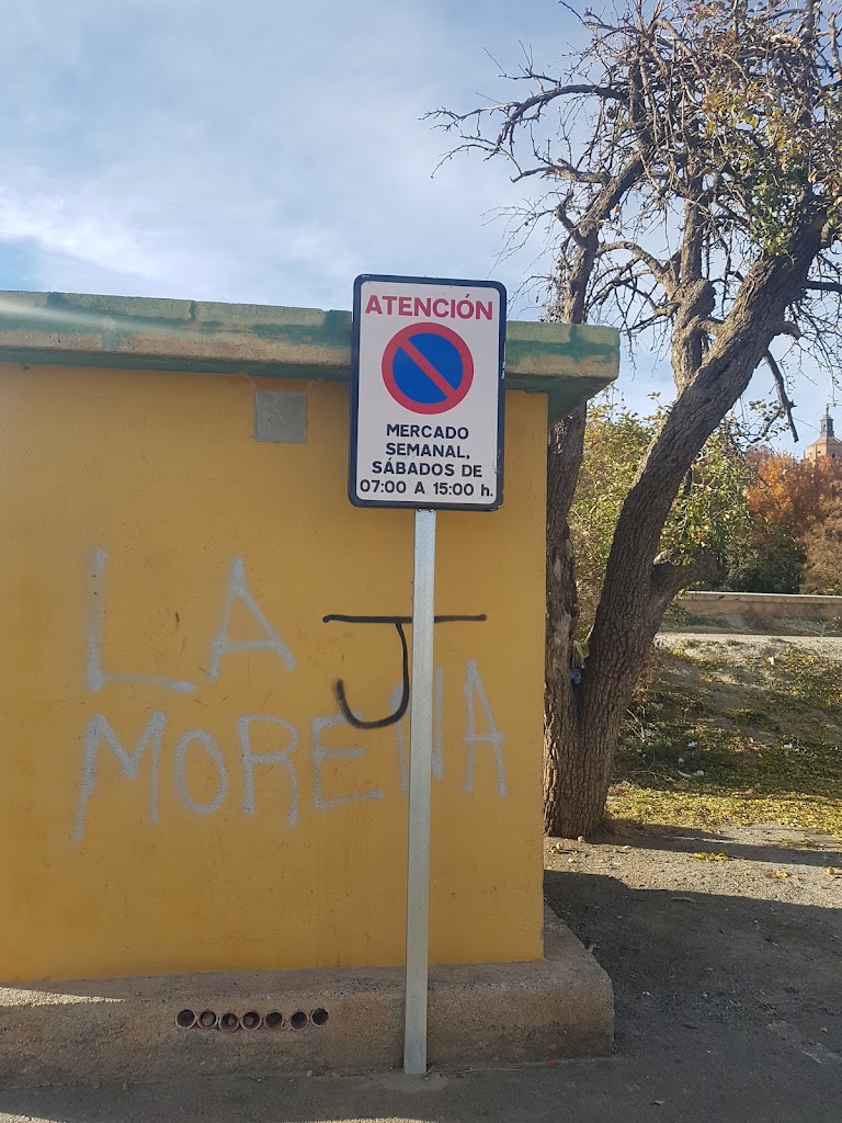 P Bus Guadix, Recinto ferial (exepto dia de mercadillo) — Signo