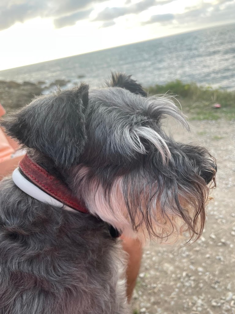 Centro Veterinario Ego-Gain