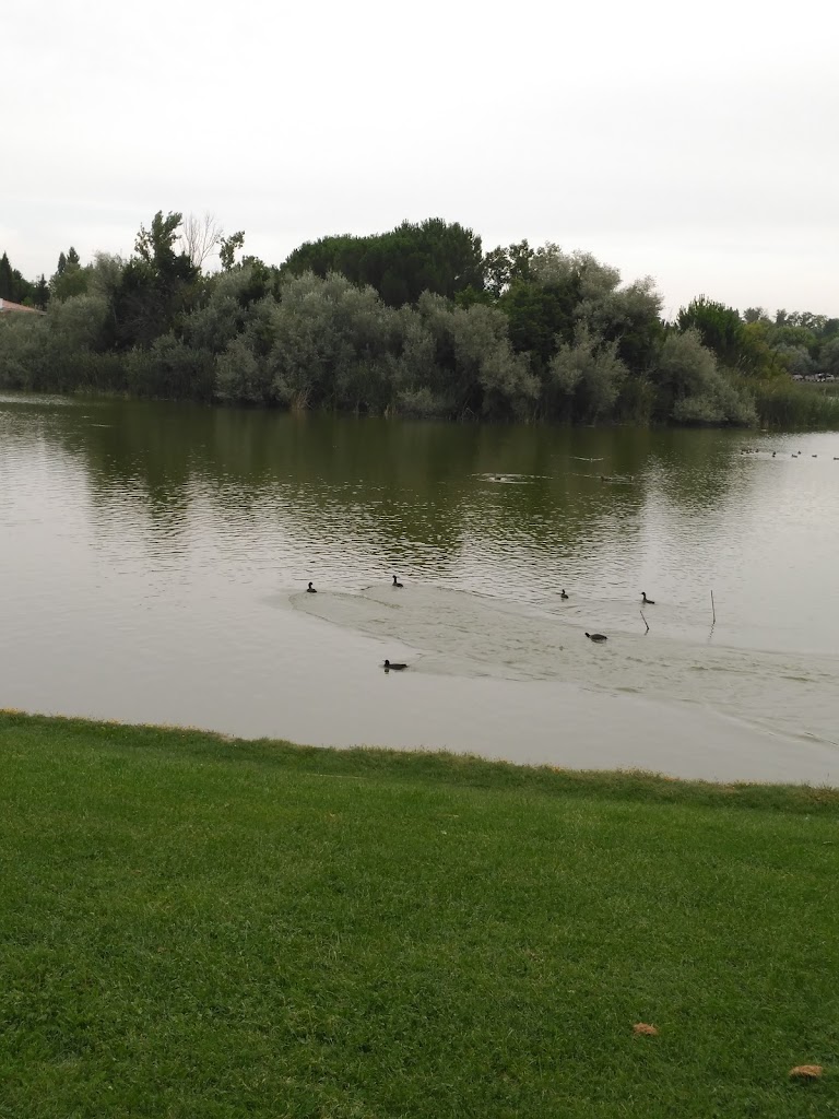 Terraza del Lago — Entorno del Lago