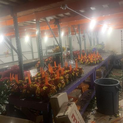 McKenzie Floral