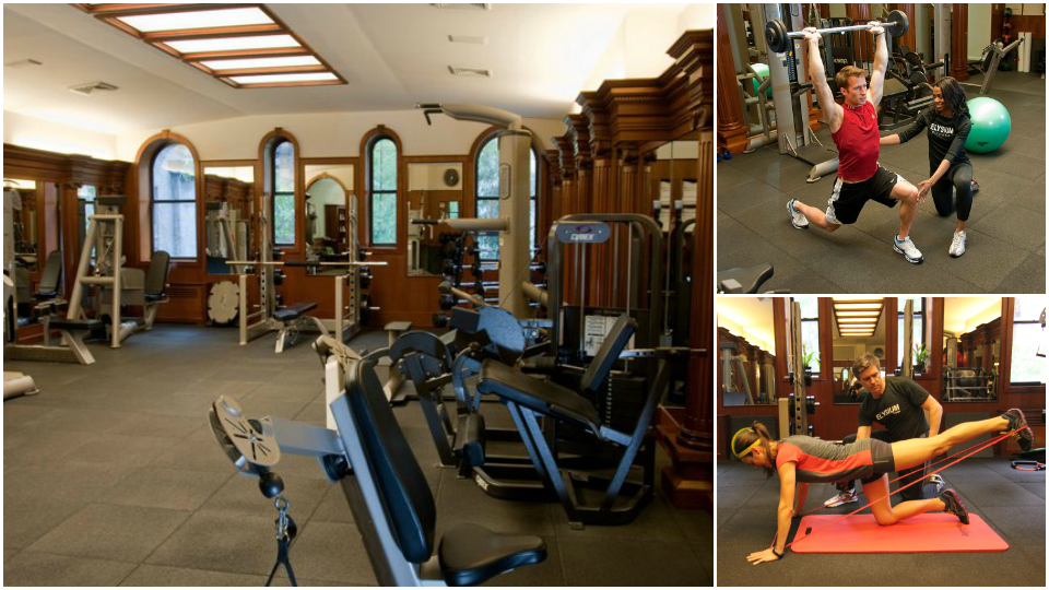  Elysium Fitness