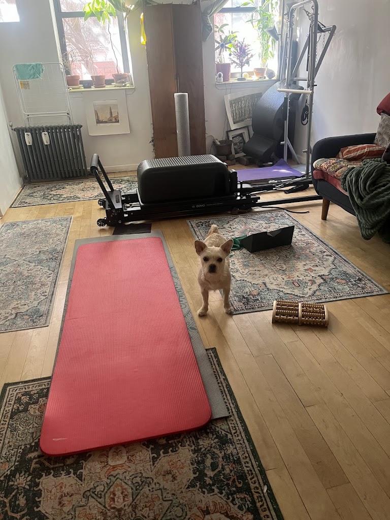  Bianca Falco - Dance.Pilates