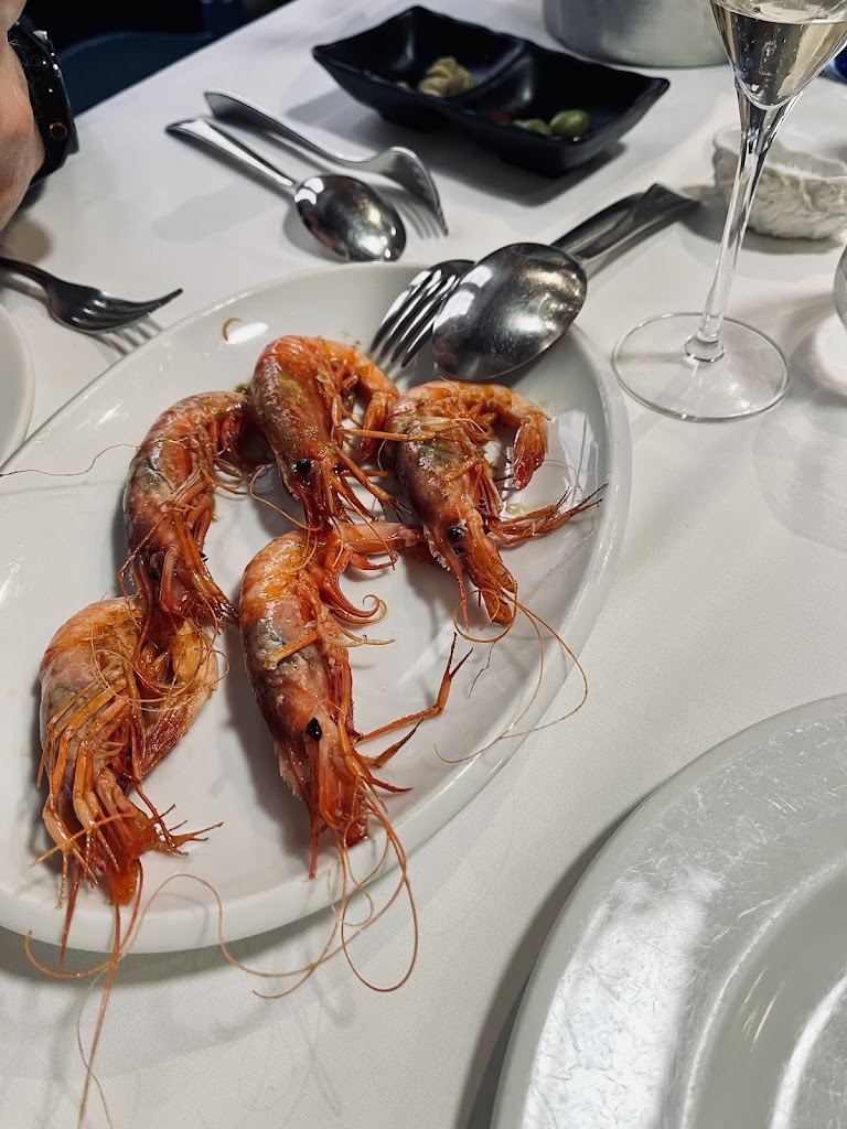 La Galera — Mas recientes
