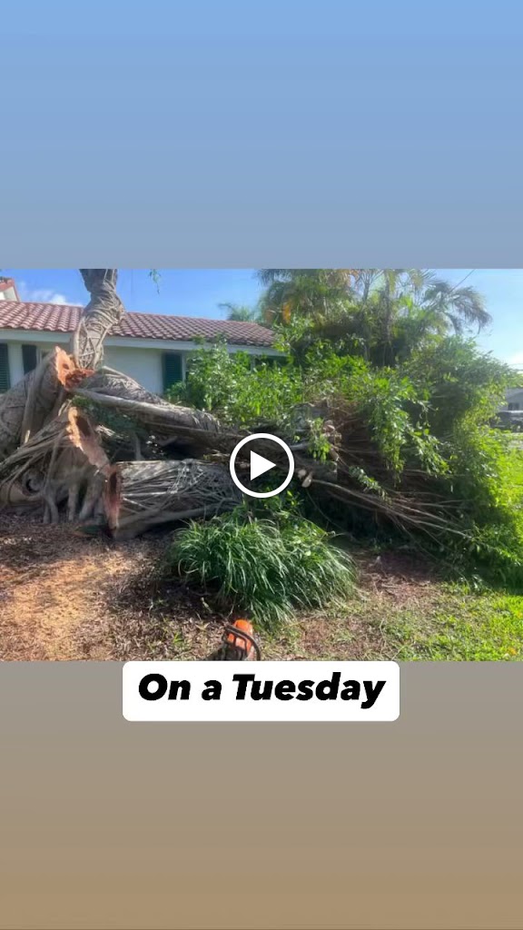 Videos