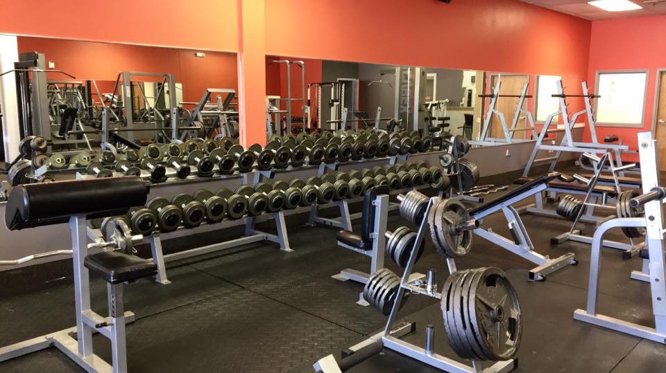  Forza Amelia Fitness