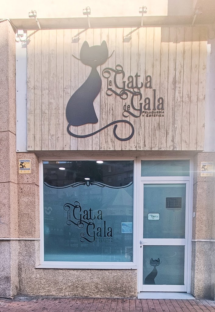 La gata de gala — Exterior