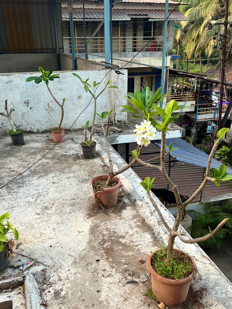 Vicky S Guest House Malvan