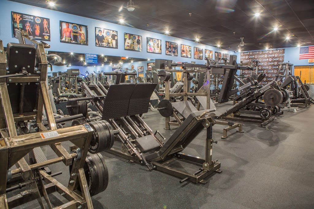  Designer Bodies 'WORLD CLASS GYM'